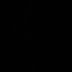 Meet your Posher, Kaden